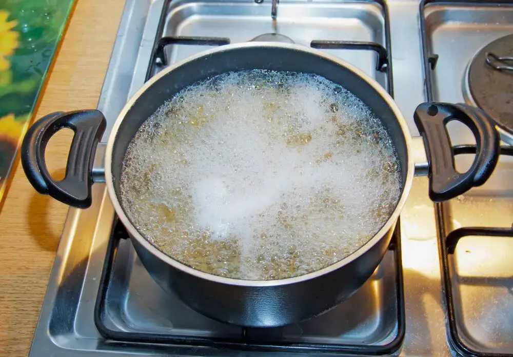 ¿Cuánto tiempo se hierven las costillas antes de asarlas? (Contestada)