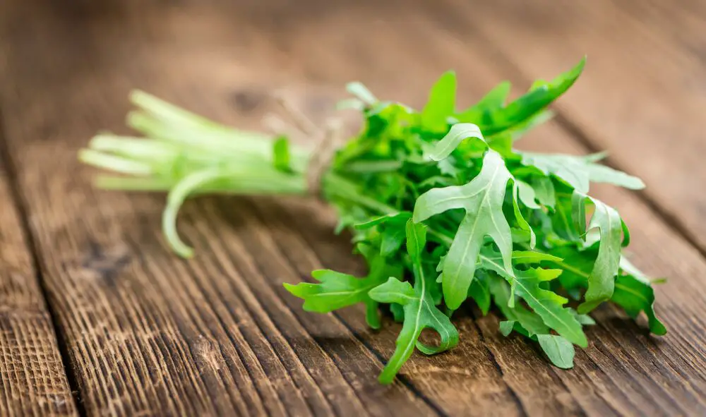 10 sustitutos de la espinaca que puedes usar para tus recetas
