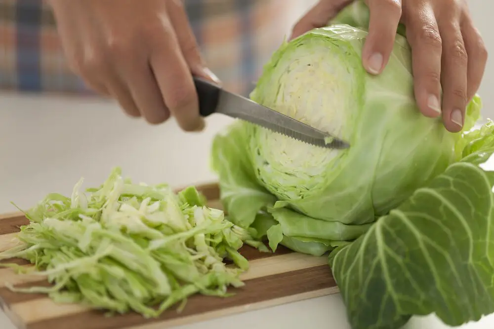 10 sustitutos de la espinaca que puedes usar para tus recetas