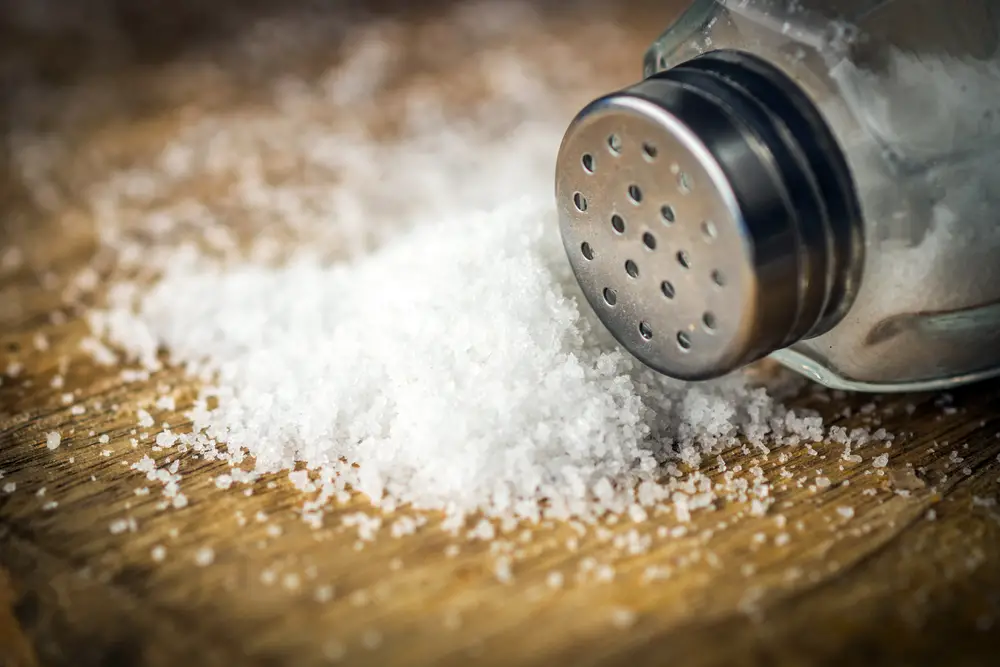 40 alimentos que comienzan con la letra S