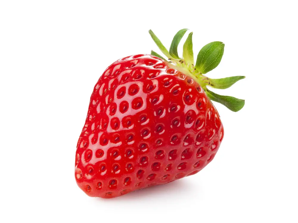 40 alimentos que comienzan con la letra S