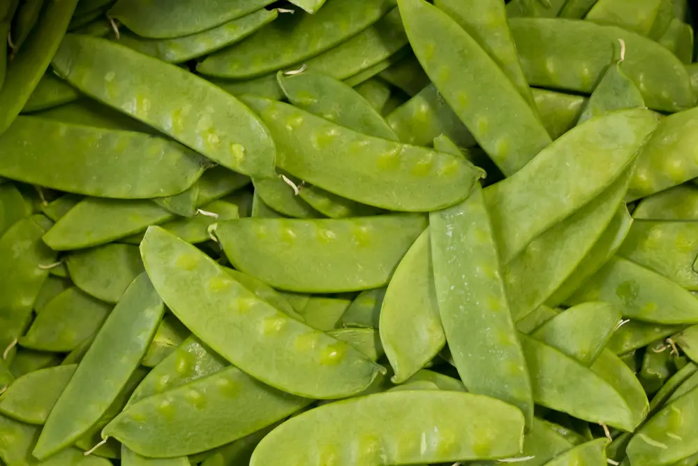 40 alimentos que comienzan con la letra S