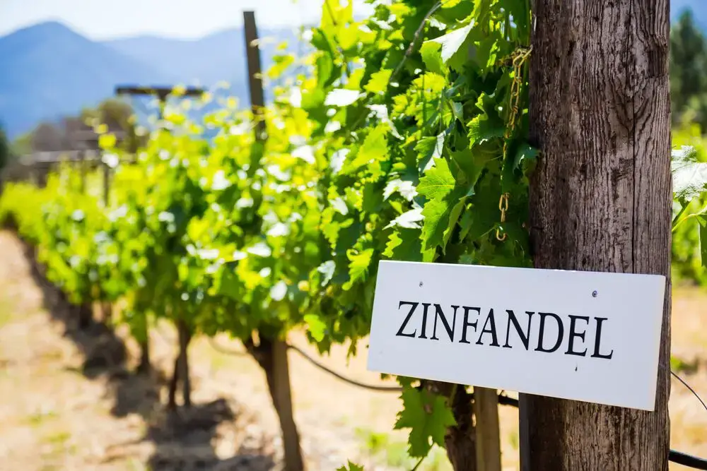 13 vinos más parecidos al oporto que puedes usar para cocinar
