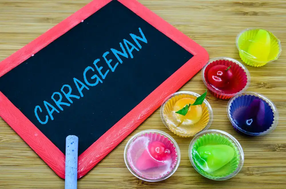 11 sustitutos del agar agar que definitivamente te encantarán