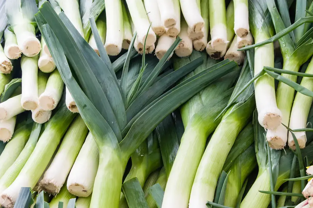 60 alimentos que comienzan con L