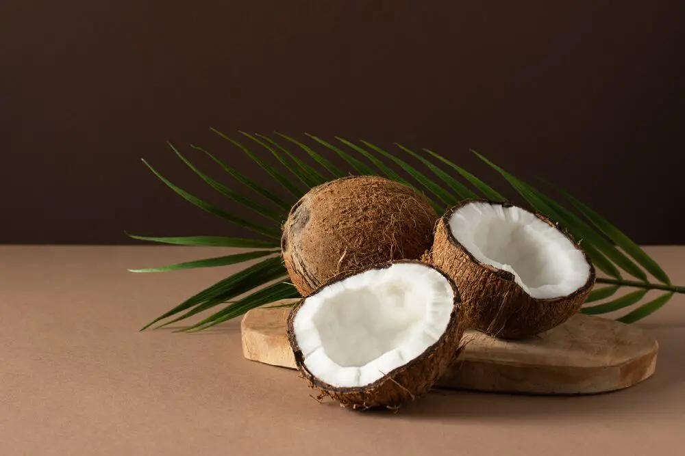 Los 6 mejores sustitutos del coco rallado que puedes usar para el postre