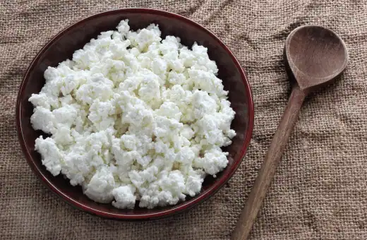 13 sustitutos rápidos del queso burrata | proporción y modo de uso 2023