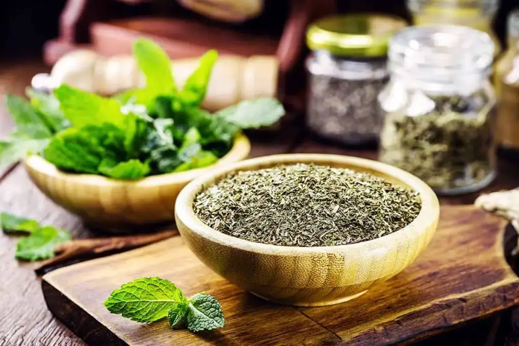 Las mejores opciones de sustitutos de salvia para una comida sabrosa.