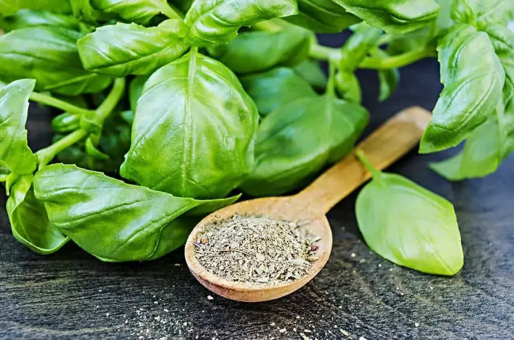 Las mejores opciones de sustitutos de salvia para una comida sabrosa.