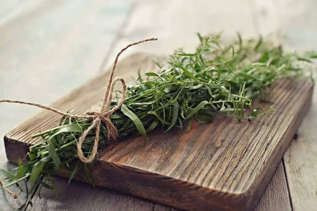 Las mejores opciones de sustitutos de salvia para una comida sabrosa.