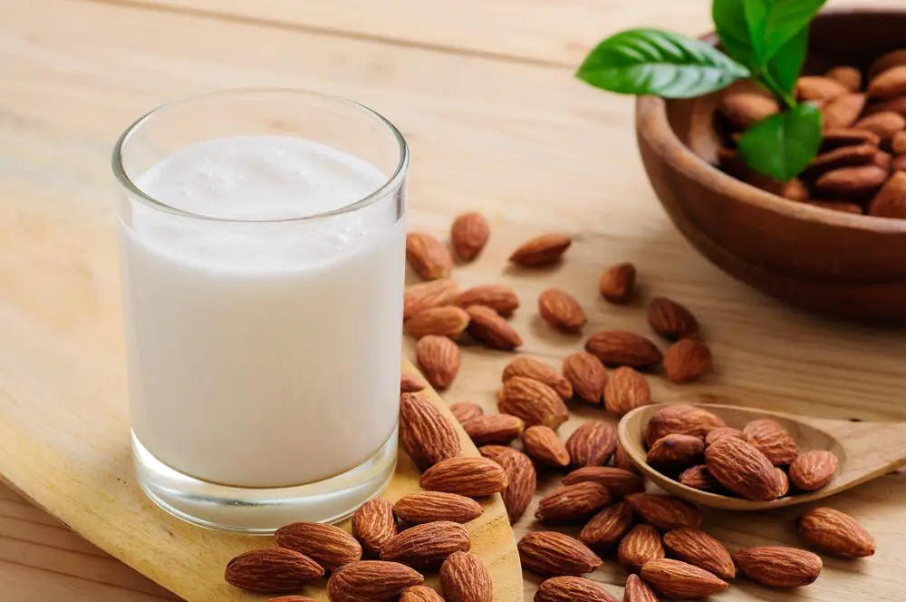 9 Sustituto de la leche en el puré de papas instantáneo