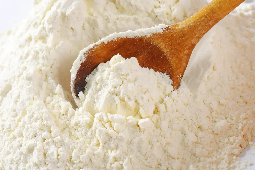 Sustituto de la harina de avena: ¿Qué es un buen reemplazo?