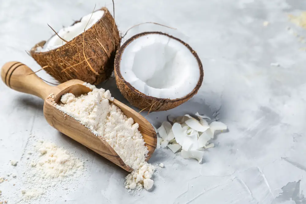 Sustituto de la harina de avena: ¿Qué es un buen reemplazo?