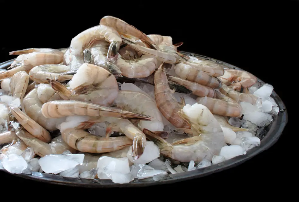 ¿Cuánto tiempo dura el camarón crudo en el refrigerador?