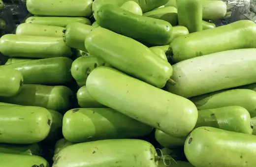 Los 12 mejores sustitutos del chayote para cualquier receta, fácilmente disponibles