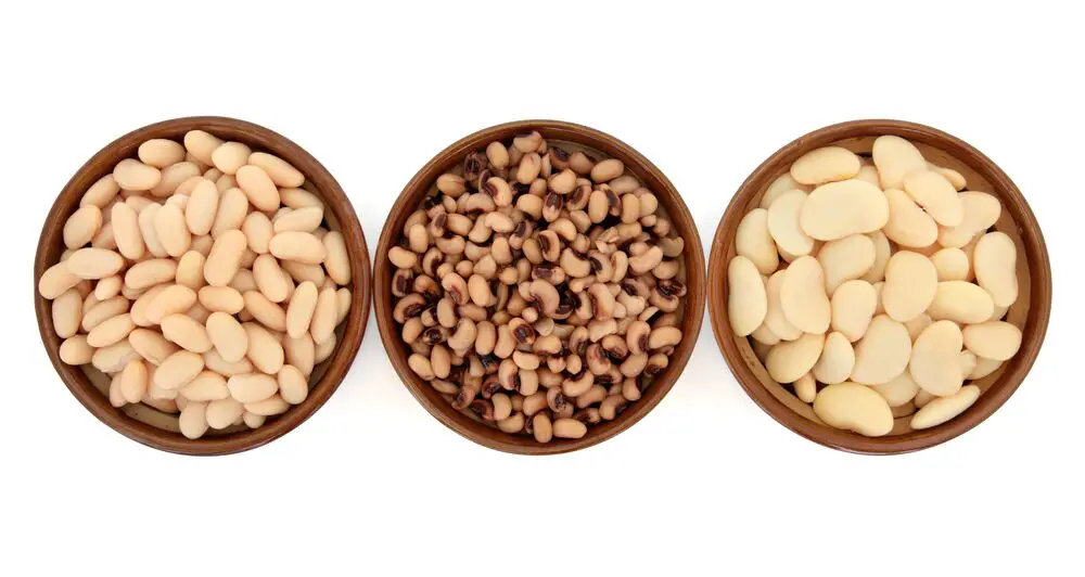 ¿Por cuánto tiempo son buenos los frijoles cocidos?