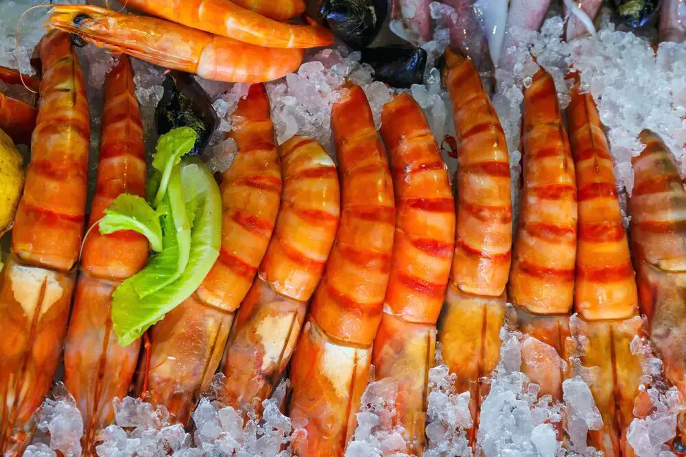¿Cuánto tiempo duran los camarones descongelados en el refrigerador?