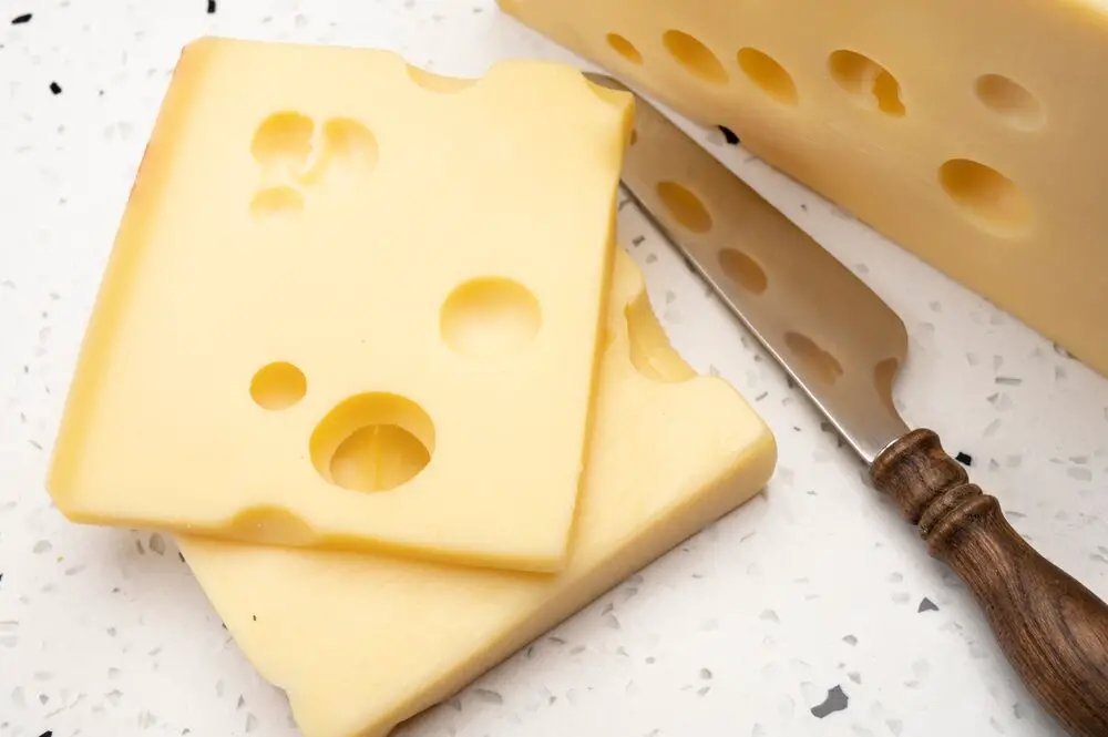 7 sustitutos del queso emmental