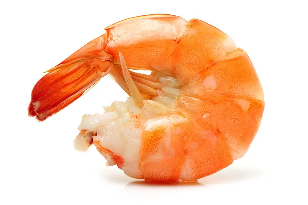 ¿Cuánto tiempo pueden permanecer fuera los camarones cocidos?