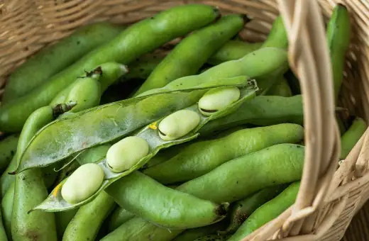 17 sustitutos rápidos de edamame | Relación y modo de uso 2023