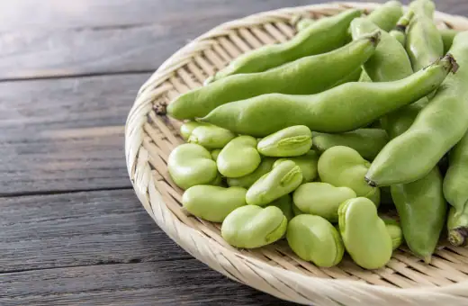 17 sustitutos rápidos de edamame | Relación y modo de uso 2023