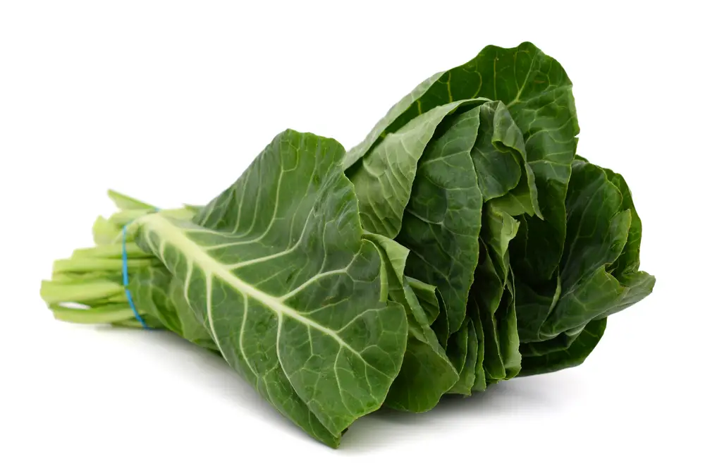 14 sustitutos del brócoli Rabe – Fanatically Food