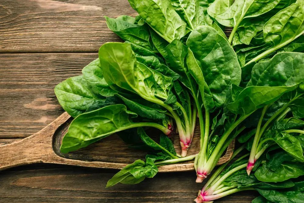 14 sustitutos del brócoli Rabe – Fanatically Food
