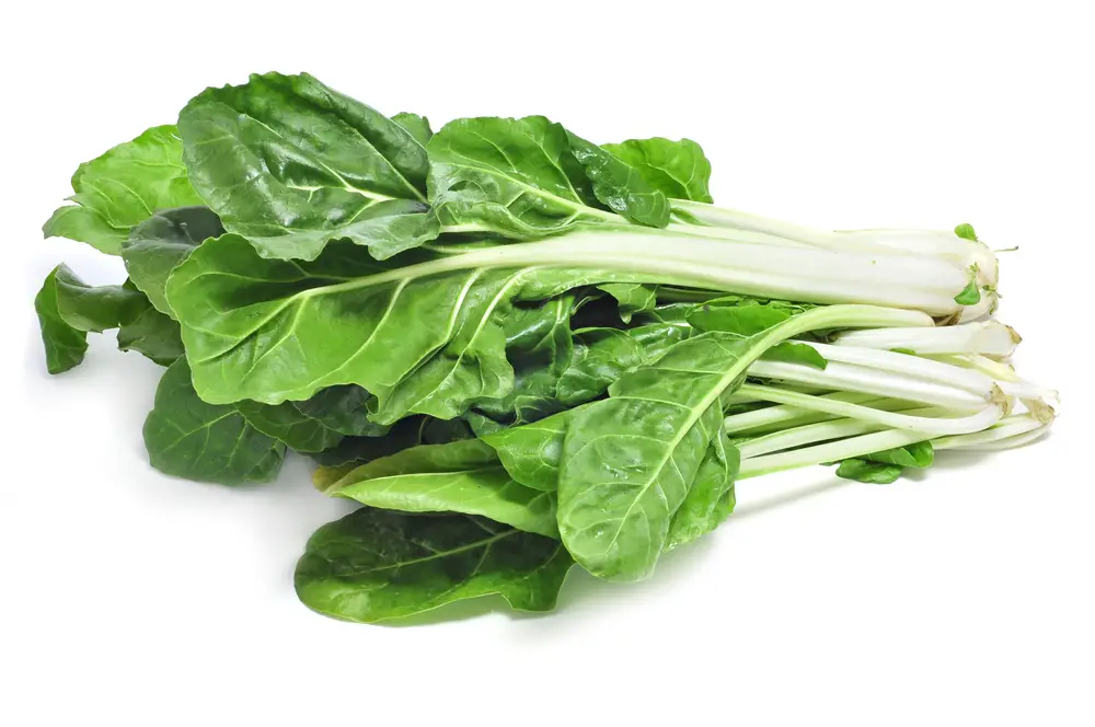 14 sustitutos del brócoli Rabe – Fanatically Food