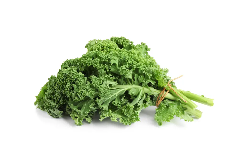 14 sustitutos del brócoli Rabe – Fanatically Food