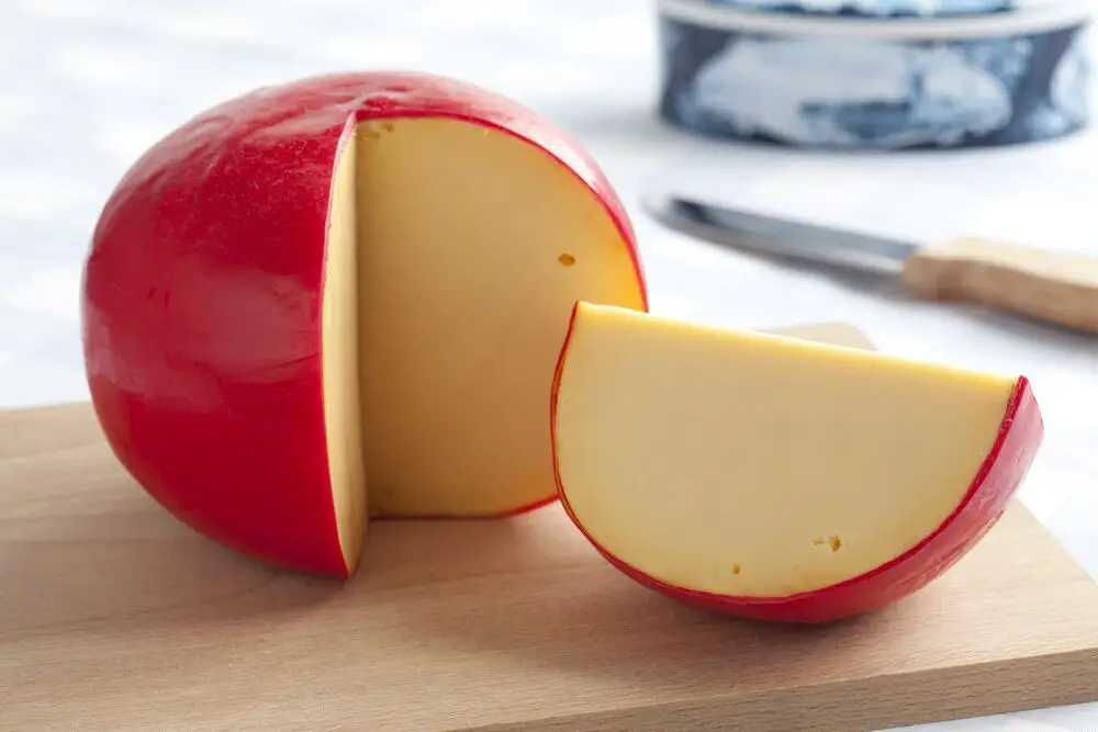 Los 12 mejores sustitutos del queso cheddar blanco para acompañar tus platos