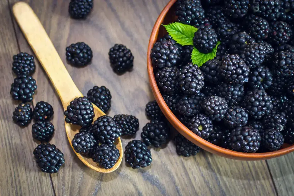 Las 7 Mejores Frutas Similares a la Granada