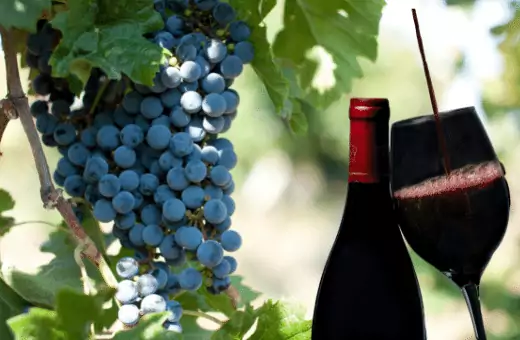 ¡Qué es un buen sustituto del vino de Oporto para cocinar!