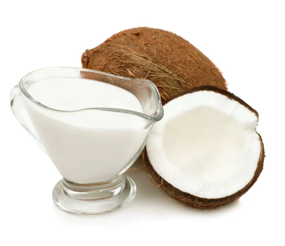 6 sustitutos de la crema de coco