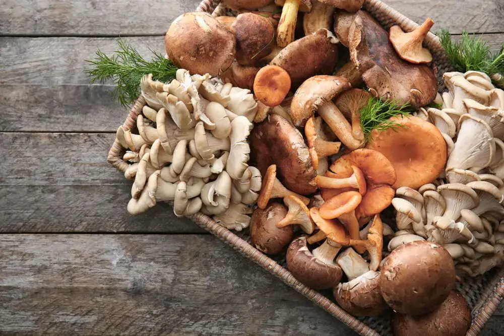 5 sustitutos de la berenjena – Fanatically Food