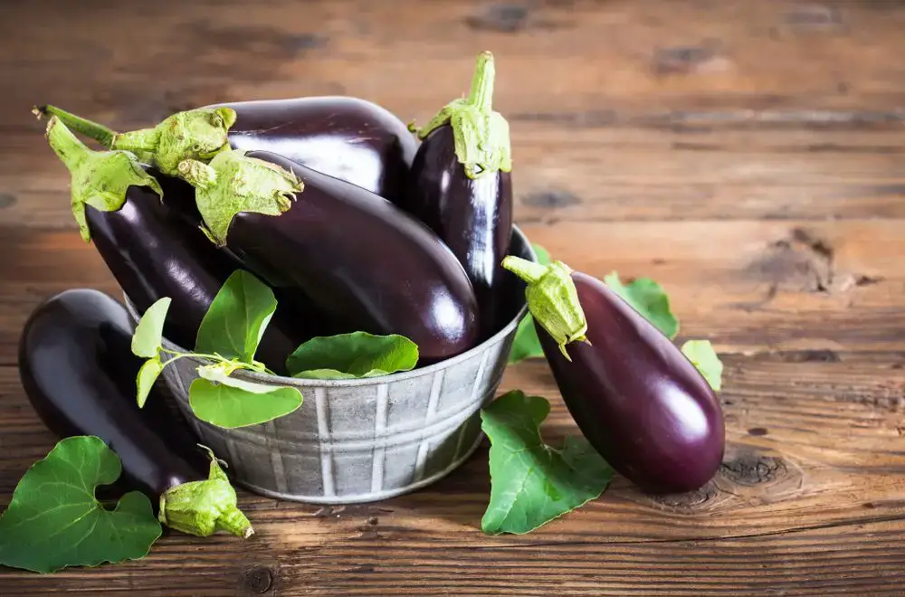 5 sustitutos de la berenjena – Fanatically Food