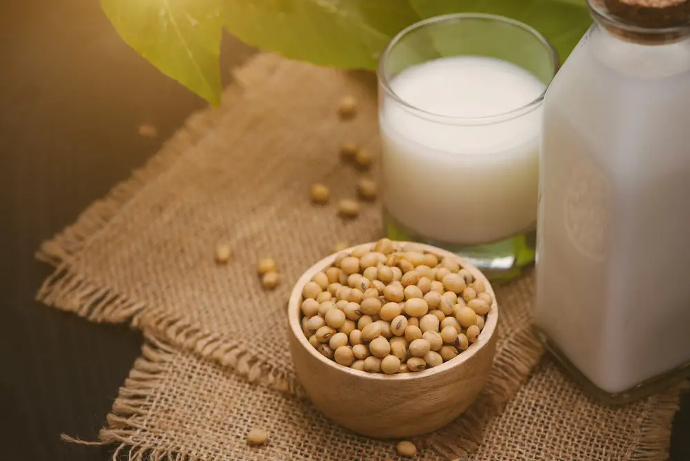 ¿Cuánto tiempo puede reposar la leche de soya?