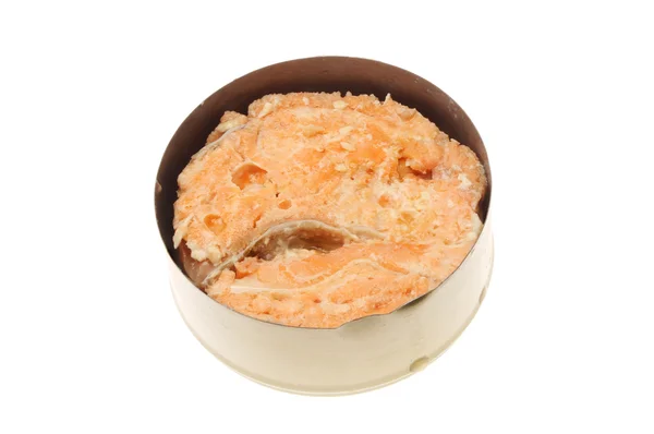 ¿Se cocina el salmón enlatado? Todo lo que necesitas saber
