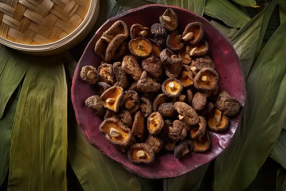 11 sustitutos del hondashi para tus recetas caseras japonesas