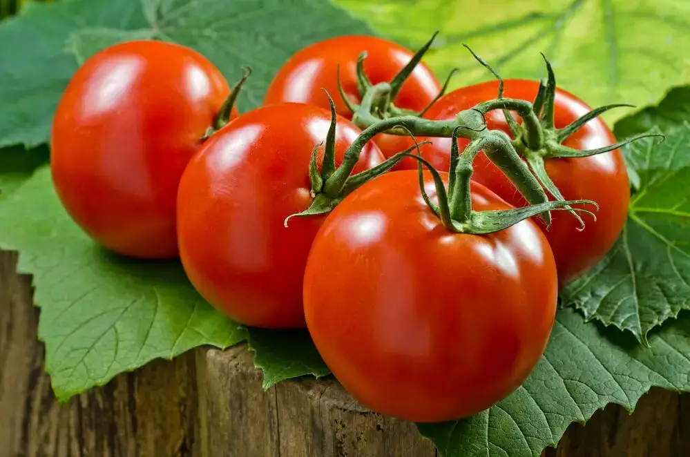 14 frutas y verduras hechas por el hombre