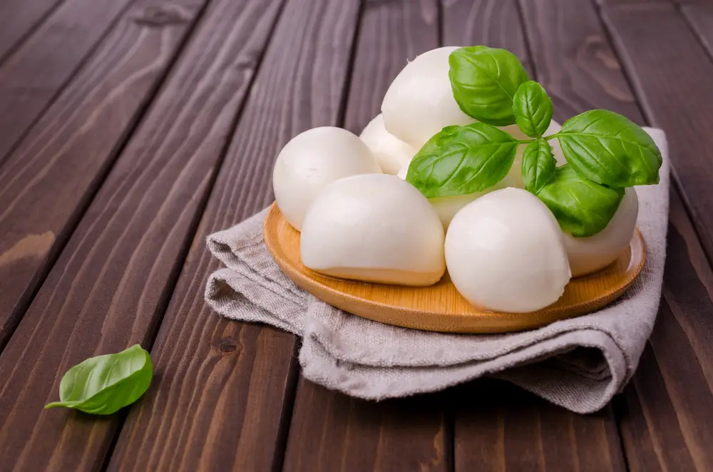 5 sustitutos del queso chihuahua – Fanatically Food