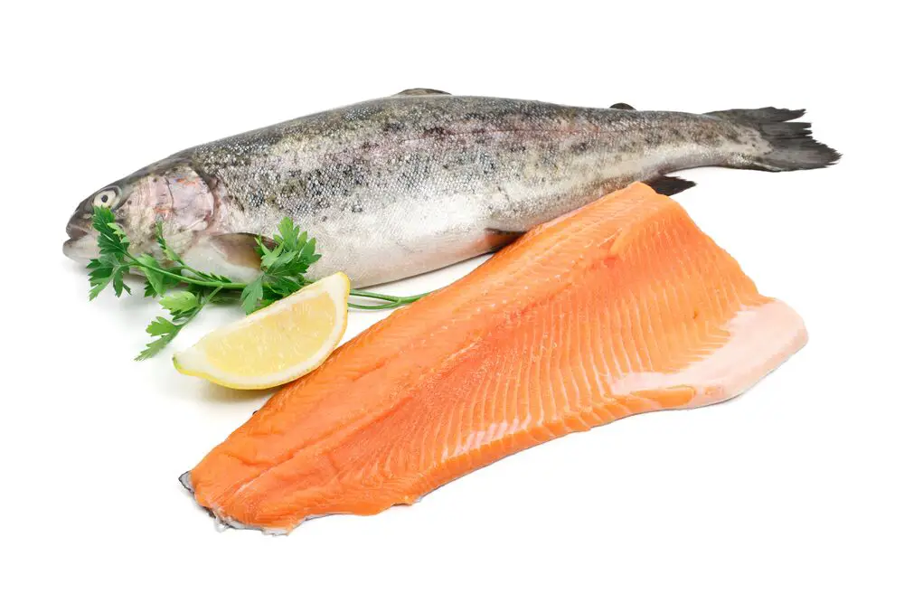 9 buenos sustitutos de la tilapia