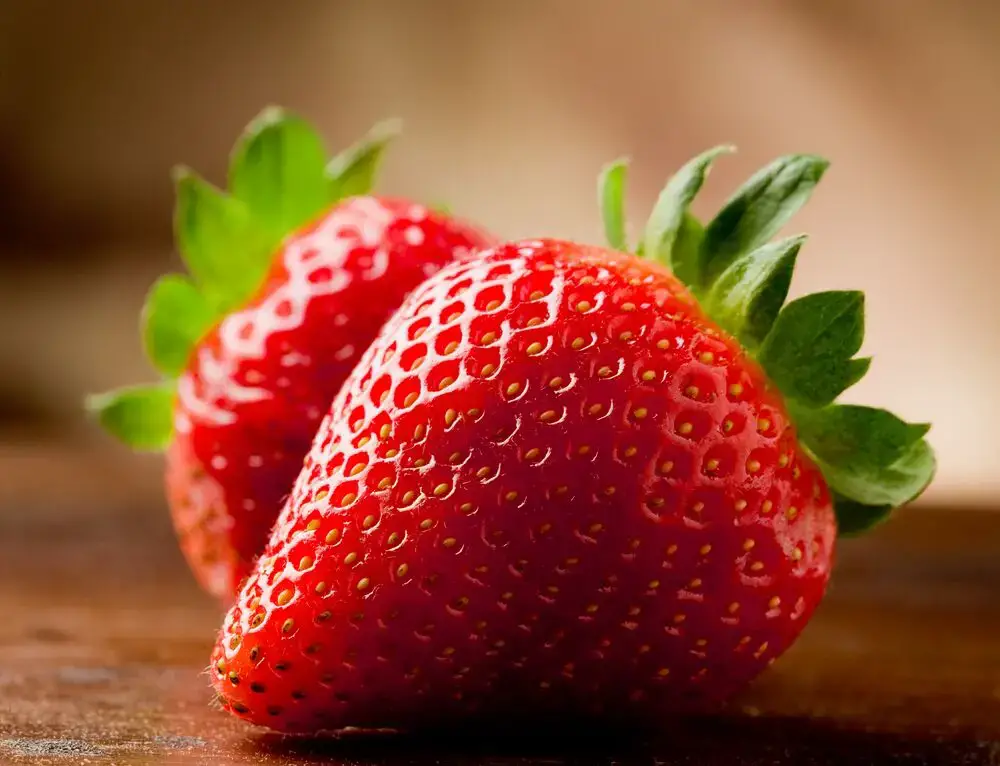¿Es la fresa una fruta cítrica? Todo lo que necesitas saber