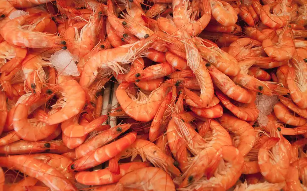 ¿Puedes comer cáscaras de camarones? ¿Qué puedes hacer con eso?