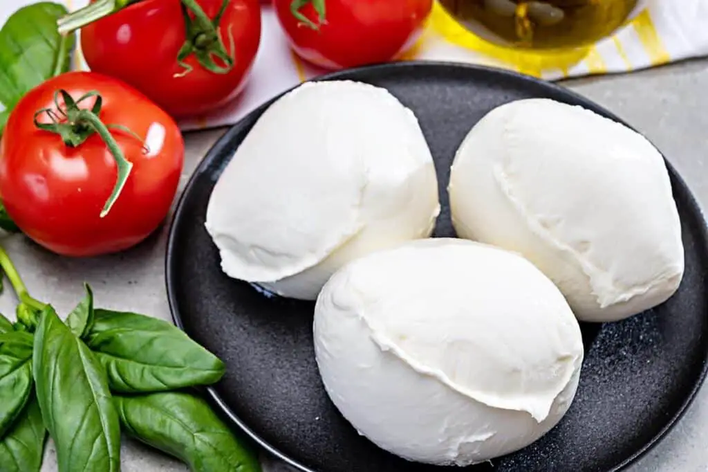 Sustituto de mozzarella (15 opciones para elegir)