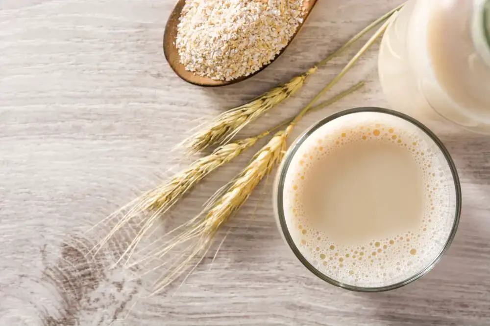 ¿Cuál es el mejor tipo de leche para un Matcha Latte?