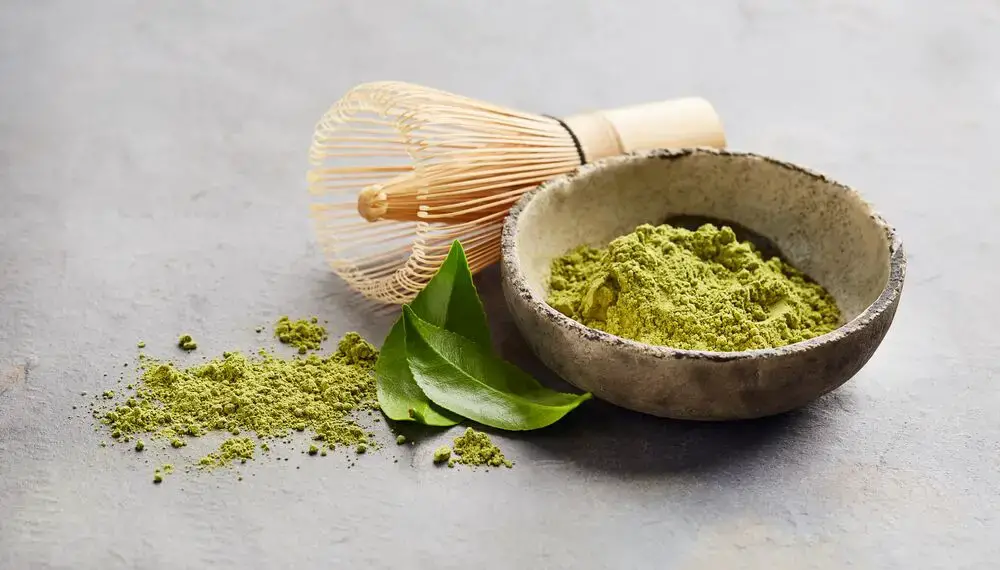 ¿Cuál es el mejor tipo de leche para un Matcha Latte?