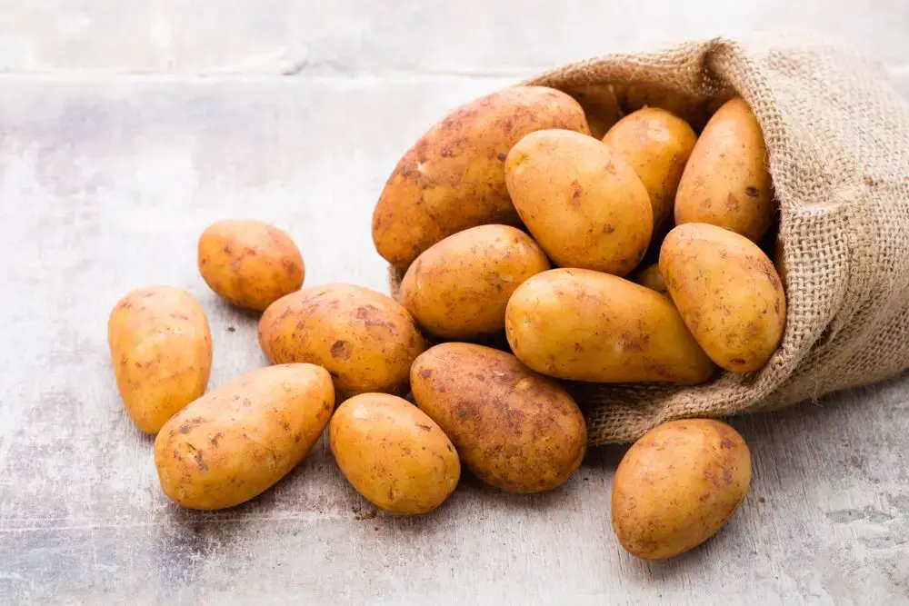 La guía definitiva para la patata Maris Piper
