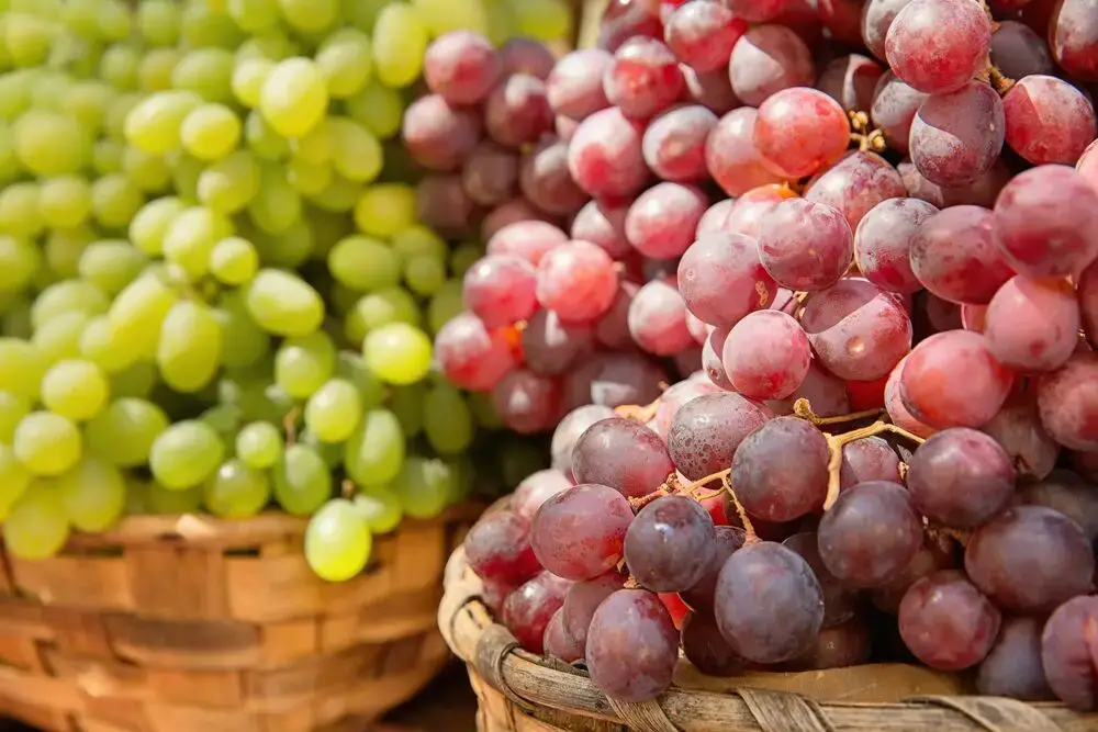 ¿Son las uvas una fruta cítrica?