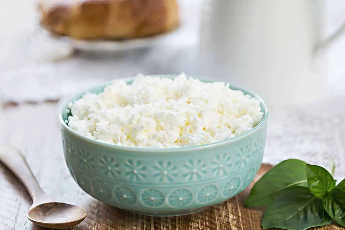 Las 10 mejores opciones de sustitutos del queso fresco