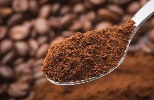 13 Sustitutos Del Cacao En Polvo En Torta Con Proporción 2023